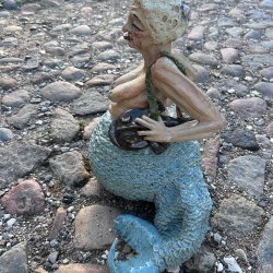 M�d Tang Tove med havtaske
