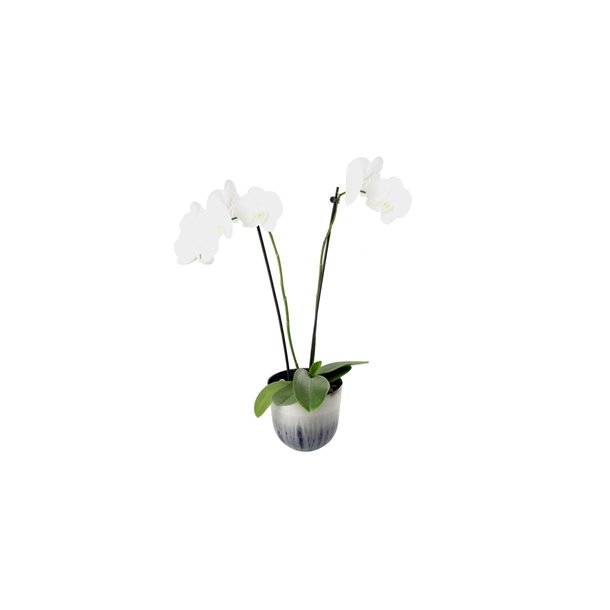 KopCup mellem stabelskl