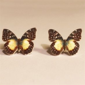 restikker Aterica-Galene