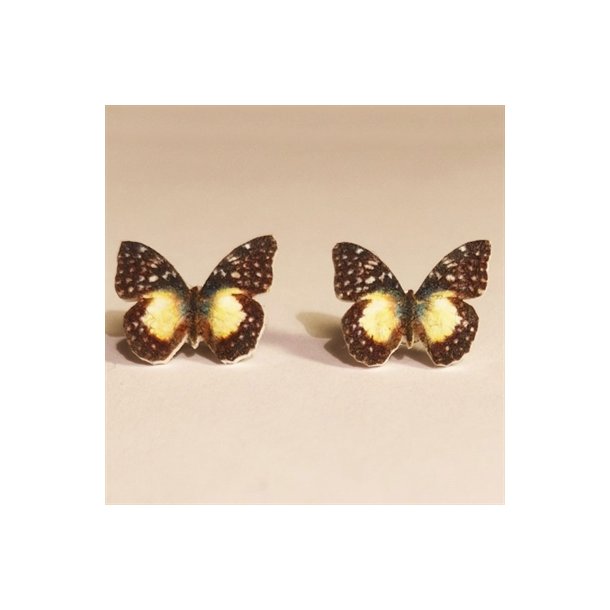 restikker Aterica-Galene