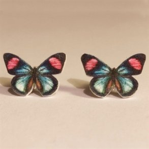 restikker Batesia-hypochlora