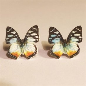 restikker Hypolimnas