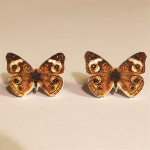 restikker Junonia-Coenia