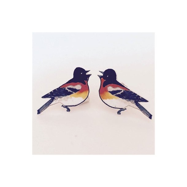 restikker Kvkerfinke