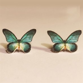 restikker Papilio-zalmoxis