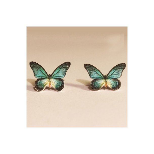 restikker Papilio-zalmoxis