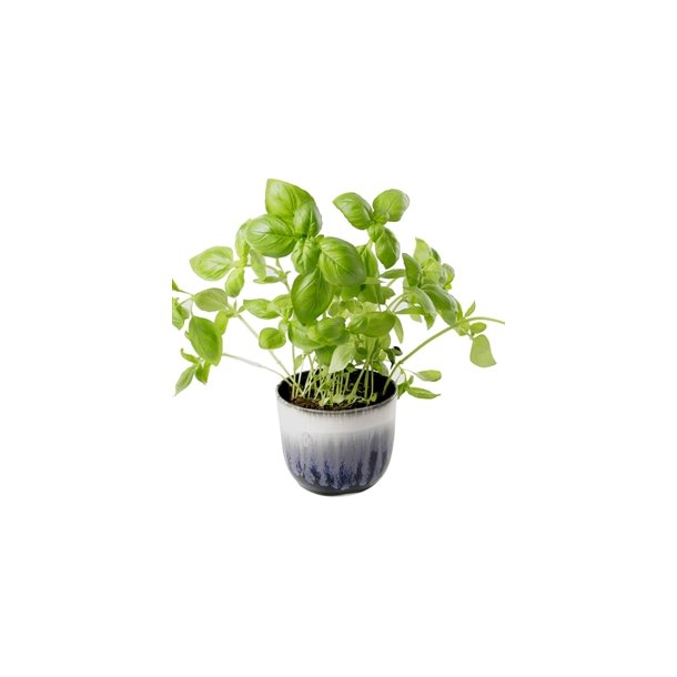 KopCup lille stabelskl