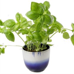 KopCup lille stabelskl