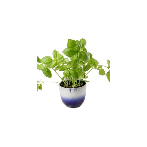 KopCup lille stabelskl