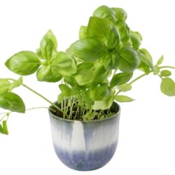 KopCup lille stabelskl