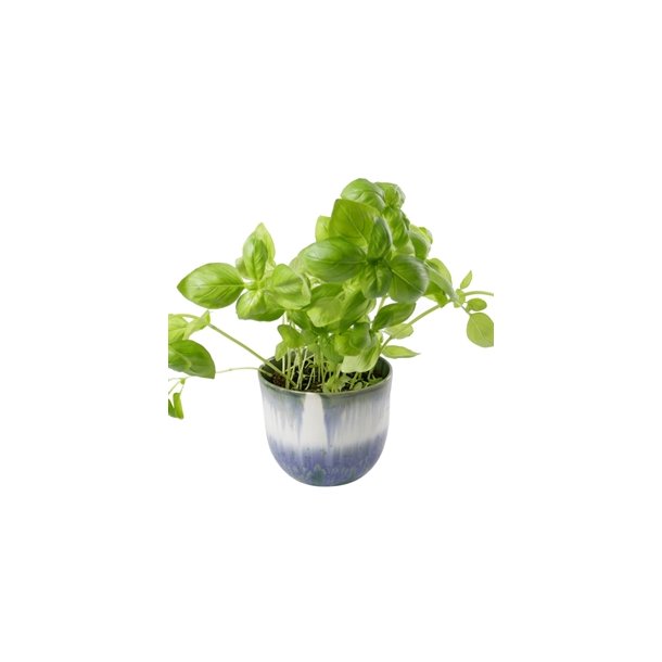 KopCup lille stabelskl