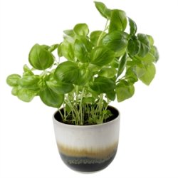 KopCup lille stabelskl