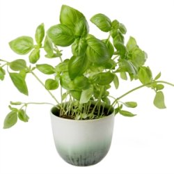 KopCup lille stabelskl