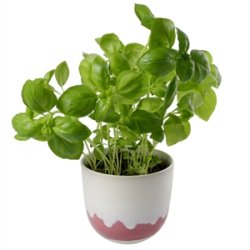 KopCup lille stabelskl