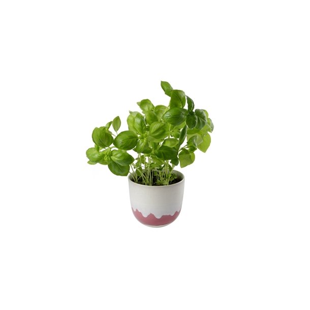 KopCup lille stabelskl