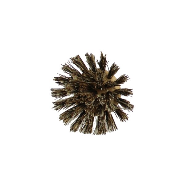 Blindes Arbejde grnsagsbrste